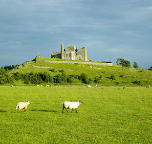 Irland ─ Fáilte grüne Insel Irland ─ Fáilte grüne Insel