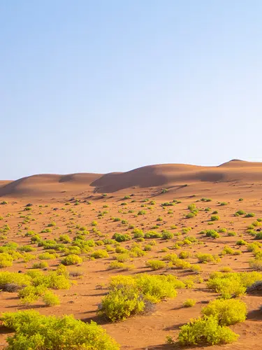 Oman und Meer
