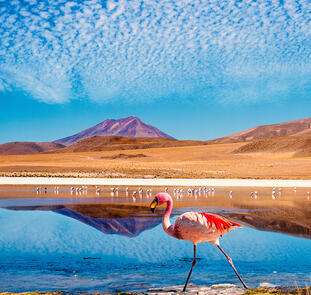 Naturschätze der Anden