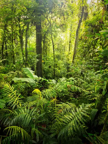 Costa Rica und Panama entspannt entdecken