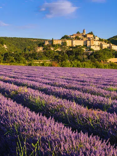 Provence - zwischen Tradition und Moderne