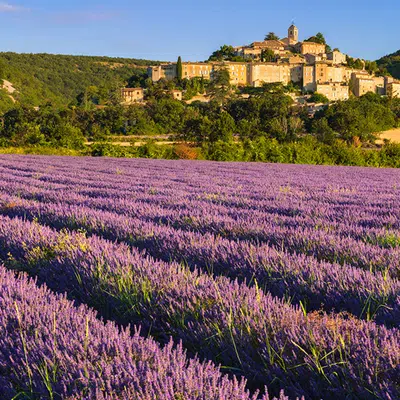 Provence - zwischen Tradition und Moderne