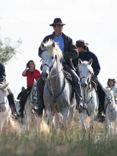 Provence - zwischen Tradition und Moderne