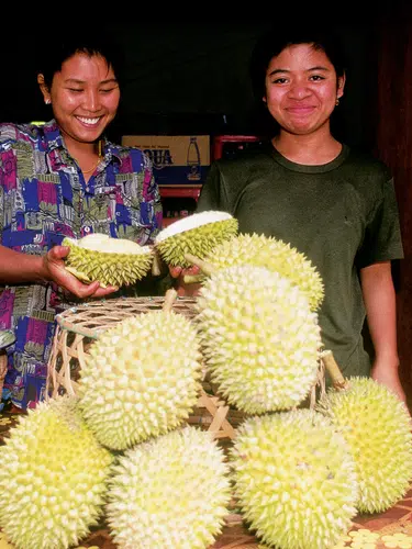 Indonesische Vielfalt auf Sumatra, Java und Bali