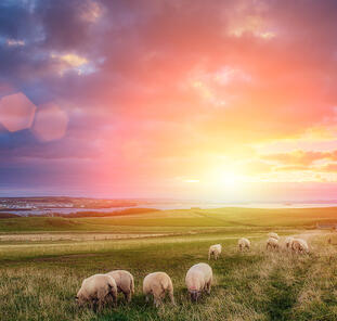 Irlands Norden entdecken