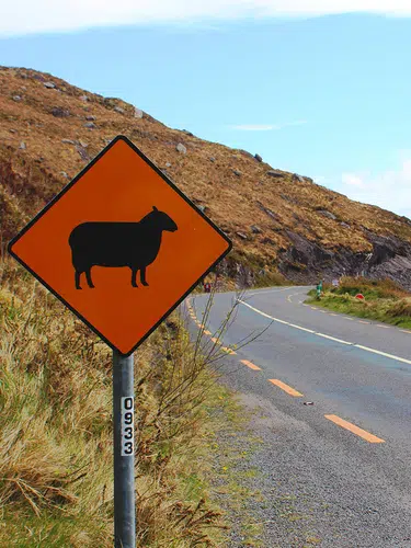 Irland zum Kennenlernen