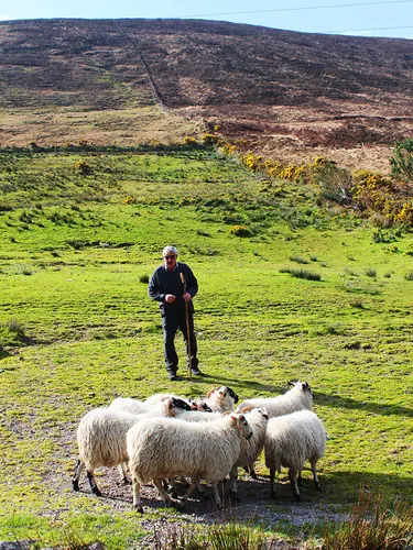 Irland - die ausführliche Reise auf der grünen Insel