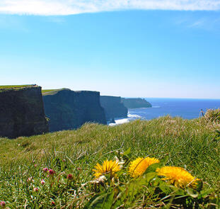 Irland - die ausführliche Reise auf der grünen Insel