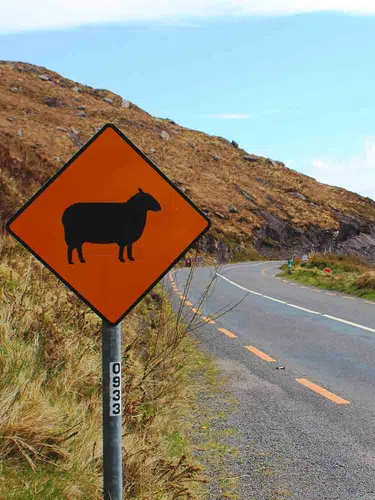 Irland ─ Schlösser und Gärten