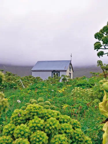Islands Naturwunder geruhsam erleben