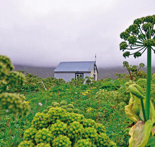 Islands Naturwunder geruhsam erleben