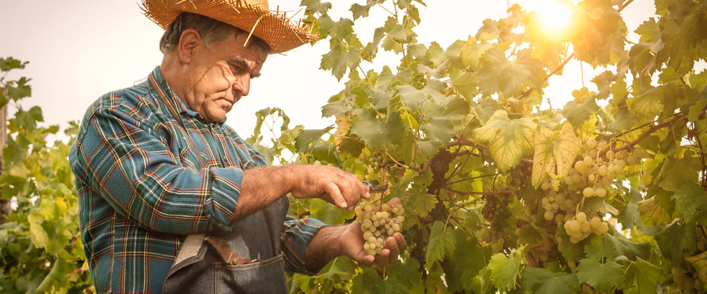 Die Toskana ausführlich entdecken Die Toskana ausführlich entdecken