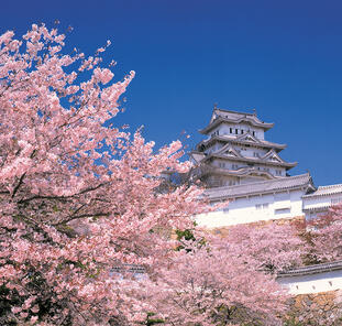 Japan für Entdecker