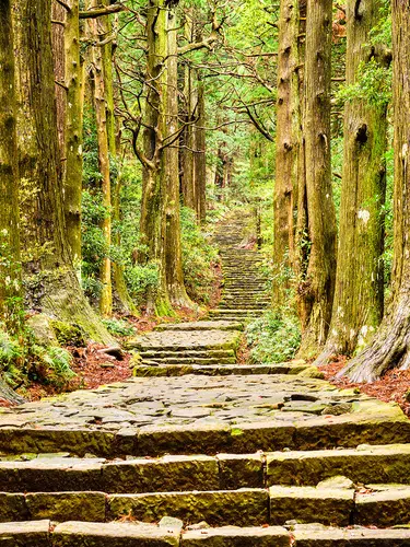 Magische Momente in Japan