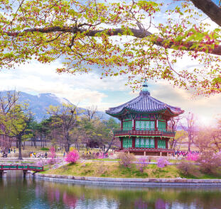 Südkorea ─ das pure Leben