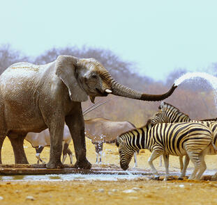 Entdeckungsreise Namibia