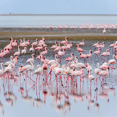 Namibia - Wildnis und Weite mit Flair
