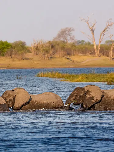 Namibia - von Windhoek zu den Victoria-Fällen