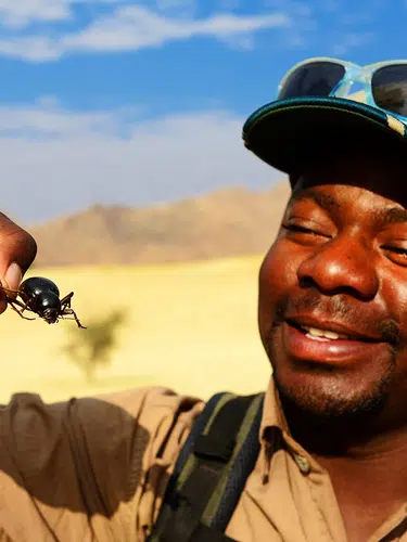 Faszination Namibia