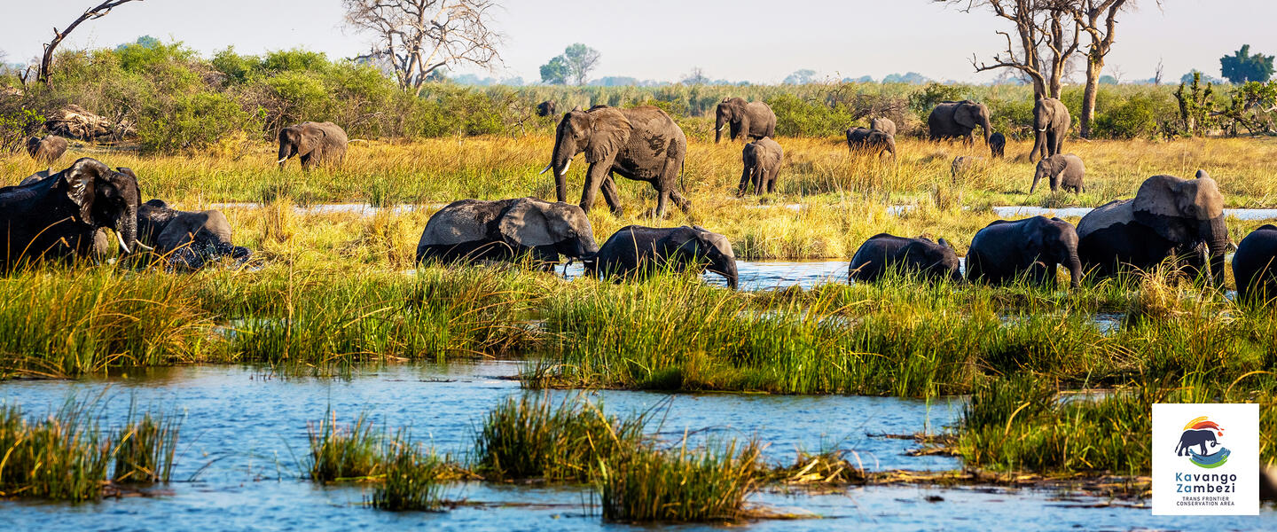 Naturschätze im südlichen Afrika