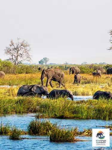 Naturschätze im südlichen Afrika