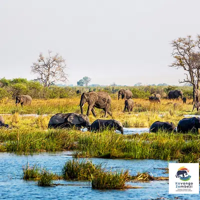 Naturschätze im südlichen Afrika