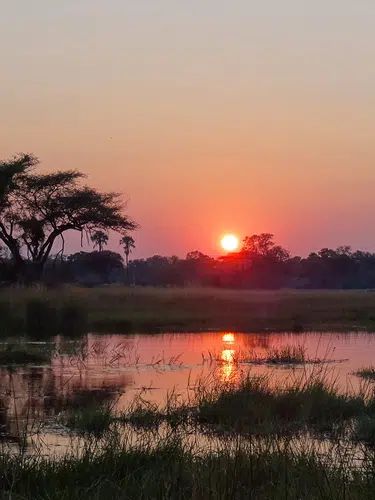 Simbabwe, Namibia, Botswana - im Herzen Afrikas