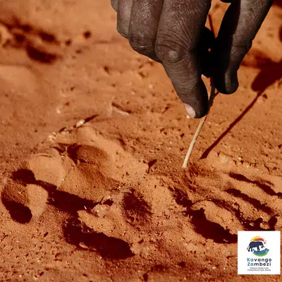 Naturschätze im südlichen Afrika
