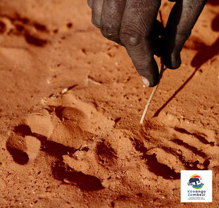Naturschätze im südlichen Afrika Naturschätze im südlichen Afrika