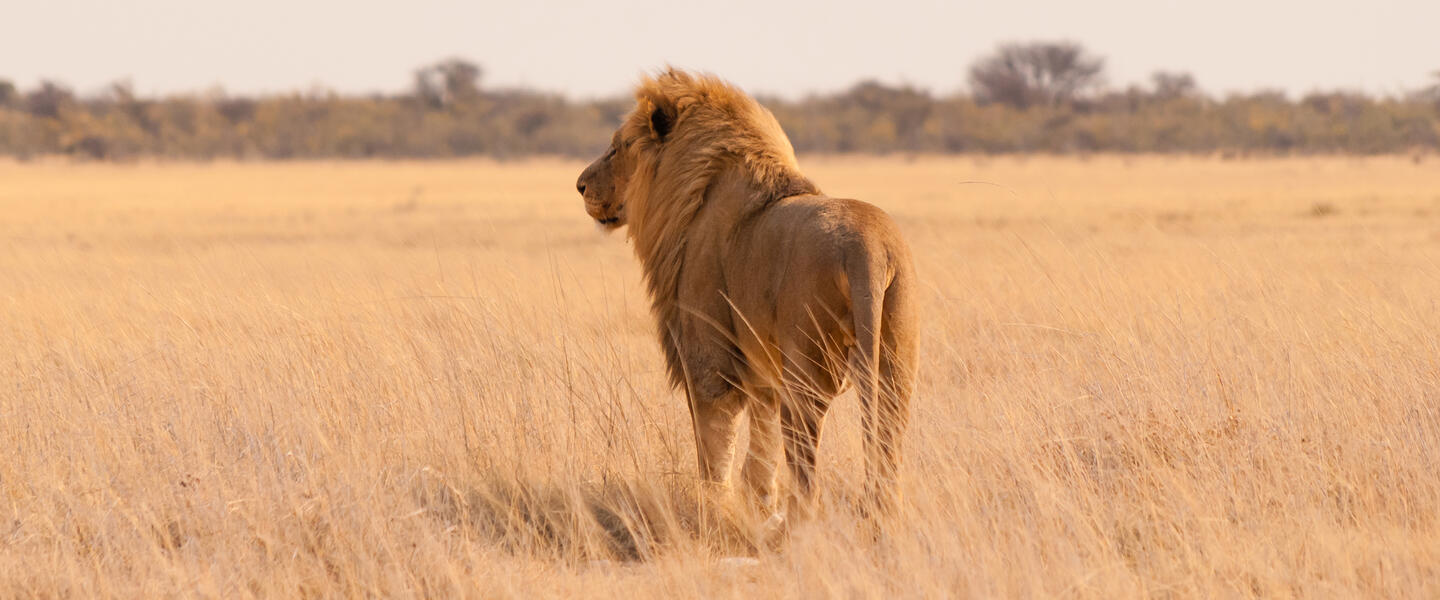 Namibia - Kaleidoskop der Kulturen