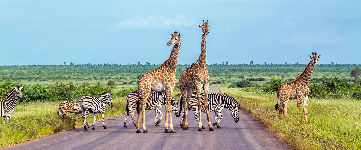 Südliches Afrika - Sinfonie der Naturwunder