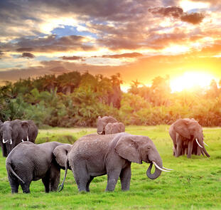 Magisches Südafrika