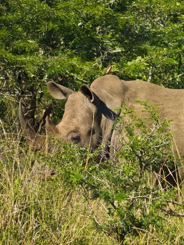 Wunderwelt Südafrika