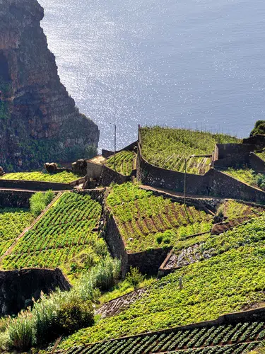 Blumeninsel Madeira