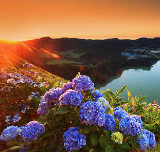 Azoren ─ Inselhüpfen im Atlantik