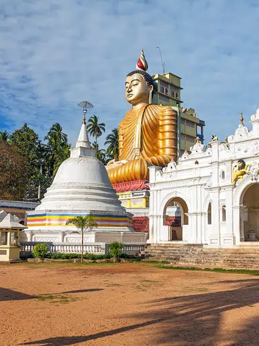 Natürlich Sri Lanka!