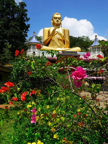 Der Zauber Sri Lankas