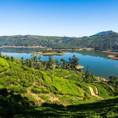 Sagenhaftes Sri Lanka für Genießer