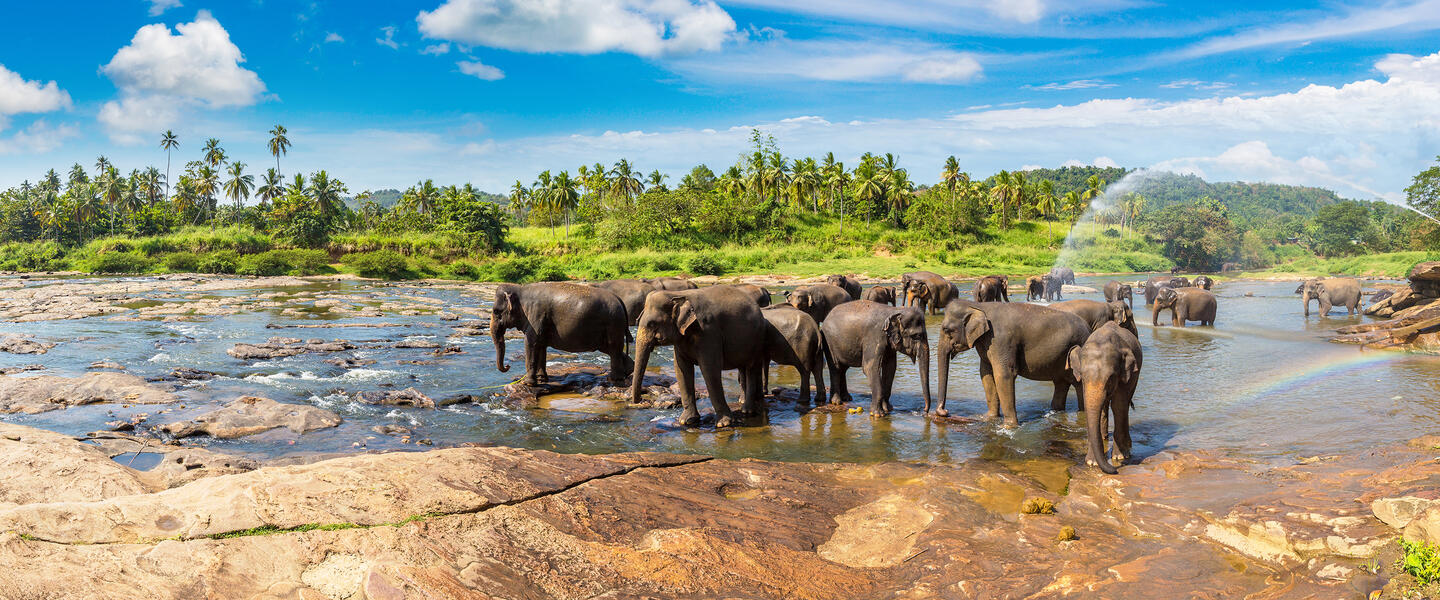 Sri Lanka - im Reich des Ceylon-Tees Sri Lanka - im Reich des Ceylon-Tees