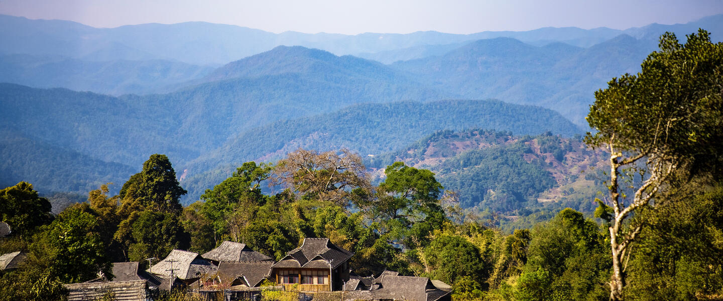 China - zu den Ursprüngen der Teekultur in Yunnan China - zu den Ursprüngen der Teekultur in Yunnan