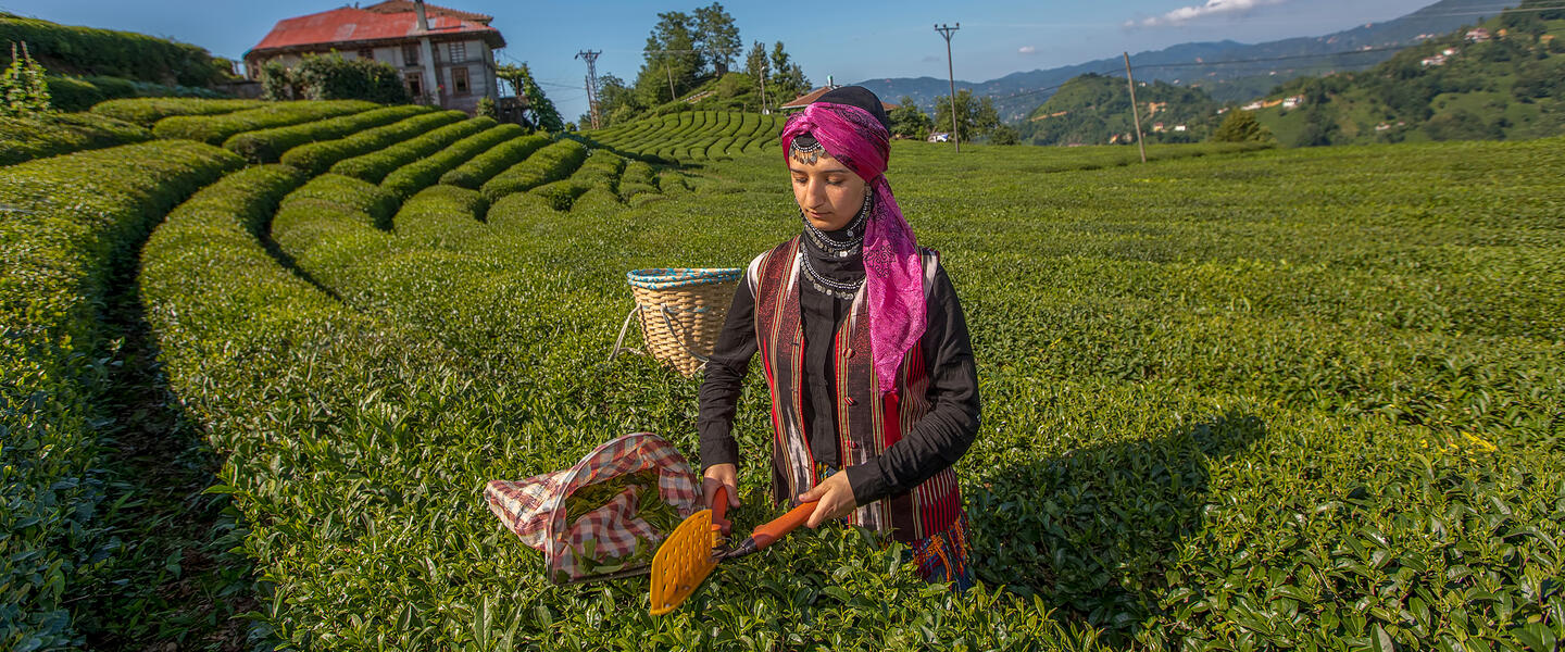 Türkische Teekultur Türkische Teekultur