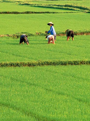 Vietnam zum Kennenlernen (2026)