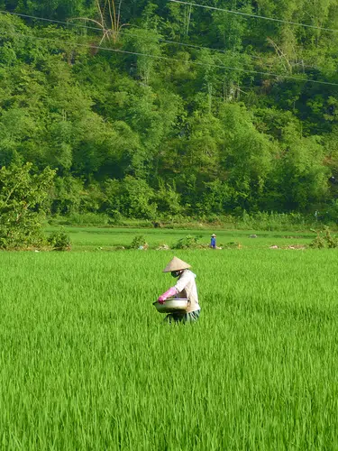 Vietnam auf einen Blick-und Meer