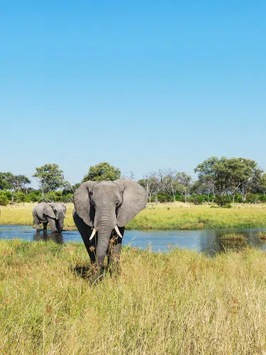 Botswana und Simbabwe - donnernder Rauch und Okavango-Delta