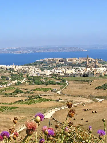 Mediterranes Doppel ─ Malta und Gozo ausführlich entdecken