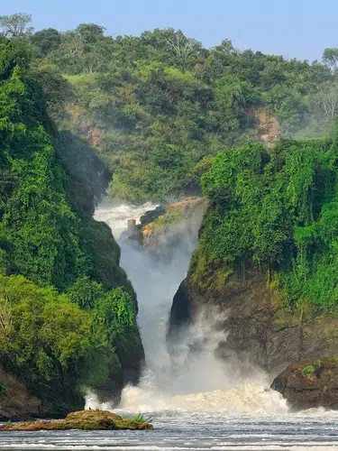 Uganda - im Land der Berggorillas