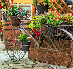 Die Schätze Kroatiens mit Slowenien und Montenegro