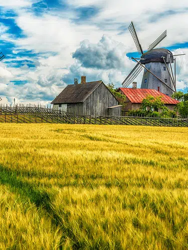 Das Baltikum umfassend genießen