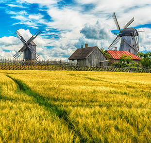 Das Baltikum umfassend genießen