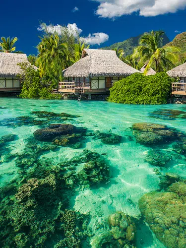 Französisch-Polynesien zu Land und zu Wasser